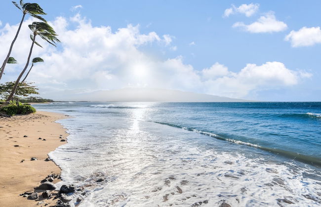 Kanai A Nalu 211 - Foto 47