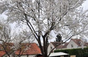 La Ferme de Flo' - Foto 34