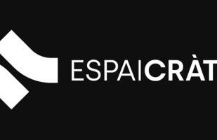 Apartment Sant Francesc - Photo 48