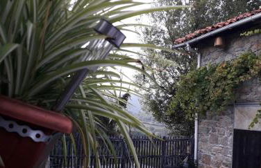 Flor de Pomar - Foto 24