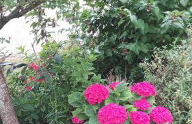 Maison à la Campagne - Foto 54