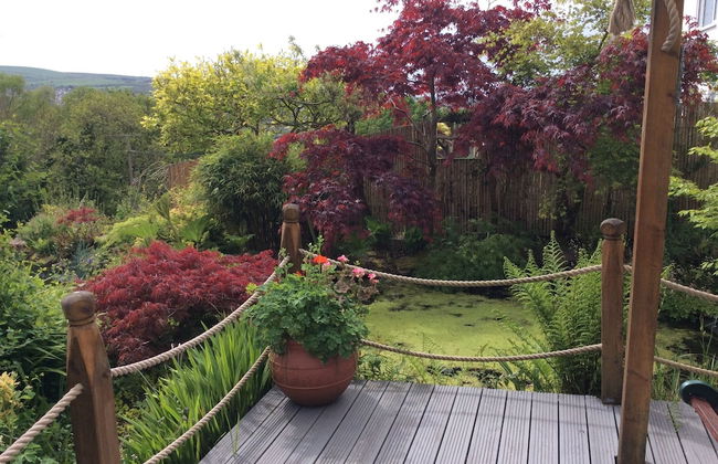 Cwmbach Cottages - Foto 70