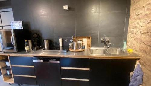 Mauersegler - Foto 5