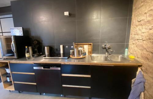 Mauersegler - Foto 5