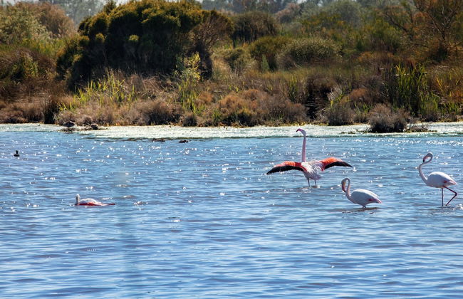 SOWELL RÉSIDENCES Les Mazets - Foto 47