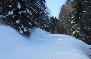 Appartement confortable à Ignaux, 31 m² avec piscine - Foto 18