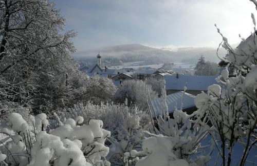 Waldheimat - Photo 35