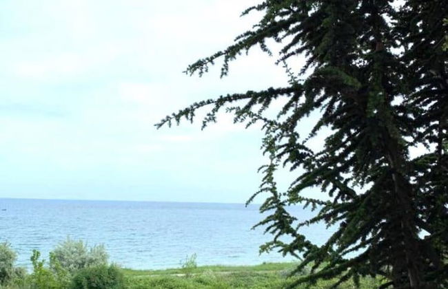 Seaside Studio Apartment in Ravda - Photo 36