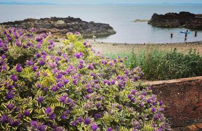 Boatshore by the sea Holiday Cottage - Foto 20