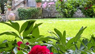 Les Maisons de Marie - Foto 2, Garden, Garden view