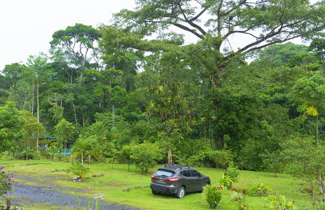 Oski Lodge - Foto 26