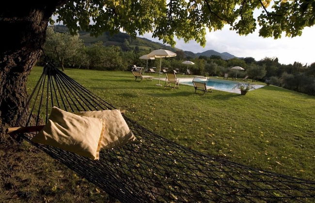 Verdidea - Ovello - Foto 32