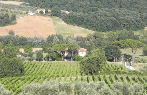 Tenuta Pizzogallo - Foto 64