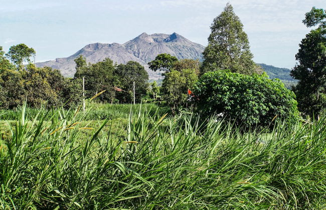 Pondok Manoka - Foto 23