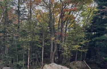 Basecamp Haven - Foto 13