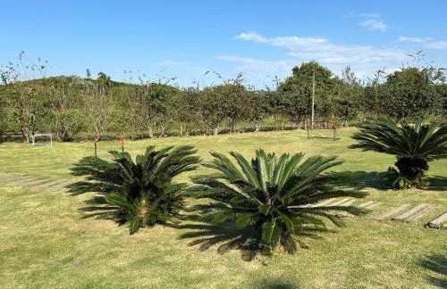 Condominio Villas do Campeche - Photo 32