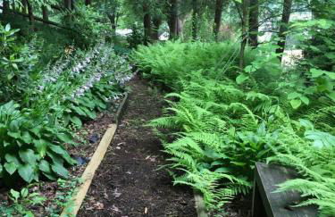 Secret Garden Getaway - Apartment in Asheville near the Great Smokey Mountains! - Foto 36