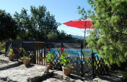 La Chélidoine - Photo 2