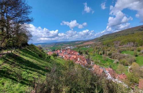 Geräumiges Ferienhaus im Teutoburger Wald - Foto 19