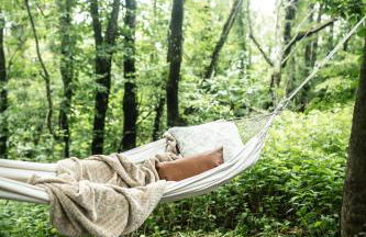 The Spruce Villa where luxury meets nature - Foto 21