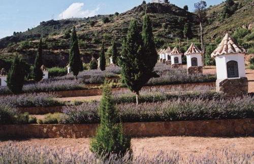 Apartamentos Rurales San Juan - Foto 25