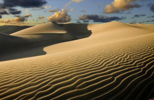 Doñana 924 - Foto 58