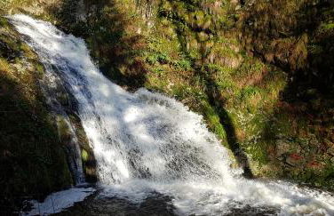 Ferienwohnung "Hirschlein" im Schwarzwald - Foto 45