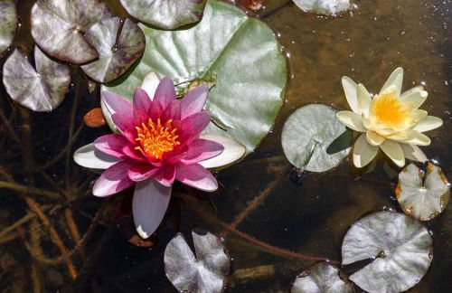 Casamia Juliette - Foto 35