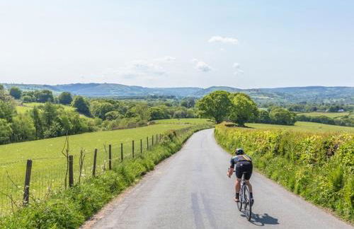 The Haven - Photo 30