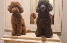 La Casa Di Edy - Foto 15