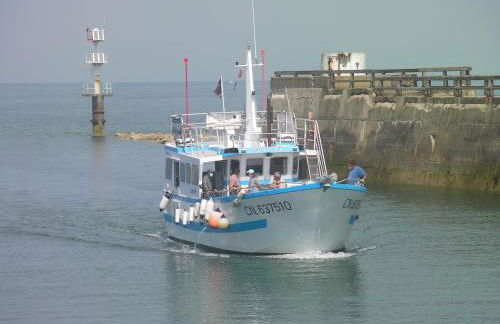 Gîte "Au P'tit Tourois" de plain-pied tout confort avec véranda proche d'Omaha Beach et de Bayeux accueillant les animaux - Foto 45