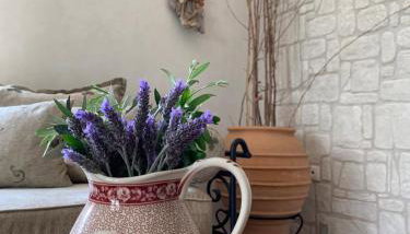 AMPELIA KYTHIRA - Foto 4