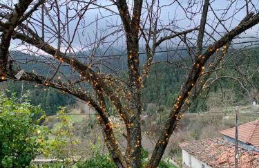 Elati's traditional and cosy home - Photo 16