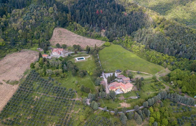 Fattoria di Cintoia - Photo 73