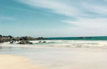 Olive's Cabin - Foto 24