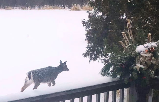 Staying by the Lakeside Cottages - Foto 50