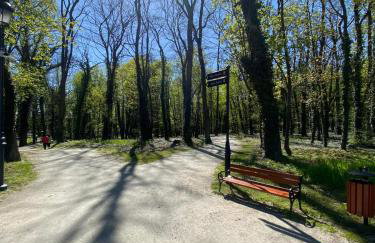 Przy Złotych Piaskach 1 - Foto 68