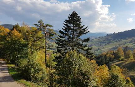 Ferienhaus Rombach Wohnung A - Foto 8
