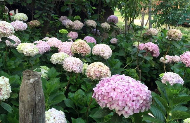 Excursion à las Ventanillas de Otuzco et à l'hacienda Tres Molinos - Photo 7