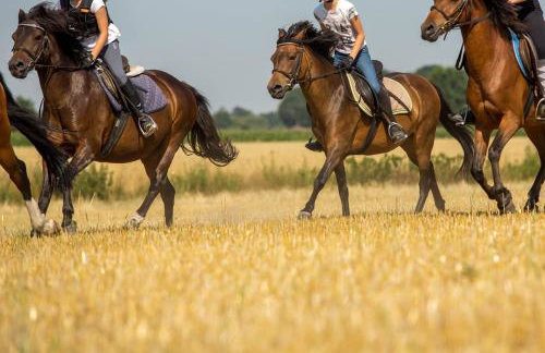 Ferienwohnungen Georgenbruch - Foto 103
