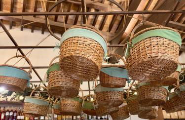 Olimpia Villa Pamphili - Centro Storico di Roma - Gianicolo Trastevere San Pietro - Photo 47