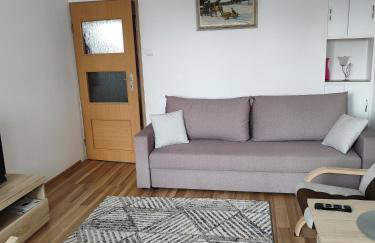 Apartament Praski 5 minut od metra i starego miasta spacerem do zoo i Konesera - Foto 7