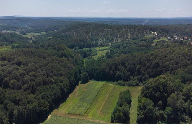 Delightful Holiday Home in Havidić Selo with Garden - Foto 42