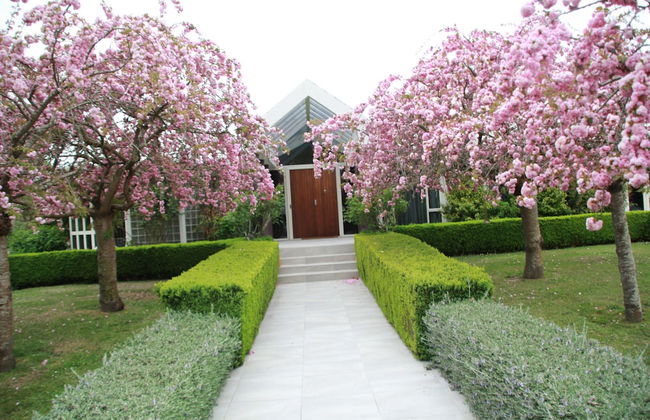 Silverstream Alpaca Farmstay and Tour - Foto 52