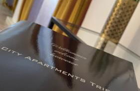 City Apartments Trier Suite 8 - Foto 3