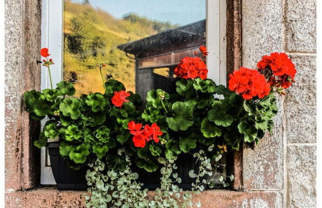 Nice Apartment in Oberkirch - Foto 16