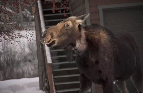 Mountainside Cozy Walk to Gondola Hot Tub Condo - Foto 35