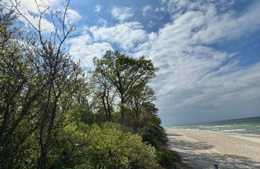 Zalotna Mewa Gąski - Photo 44