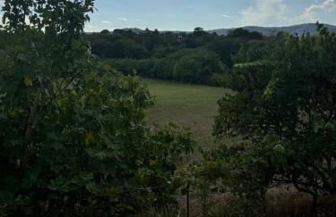 La Viola Toscana - Foto 9