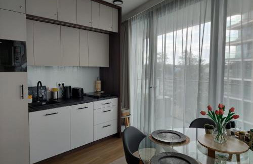 Baltycki Eden Apartment Delux - Foto 9